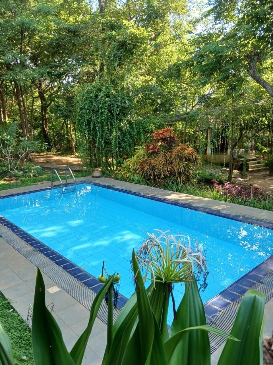 Villa Habarana Exteriér fotografie