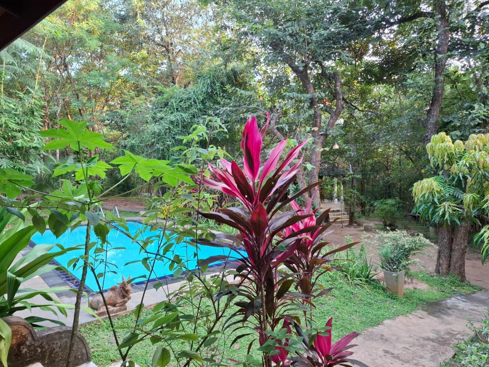 Villa Habarana Exteriér fotografie